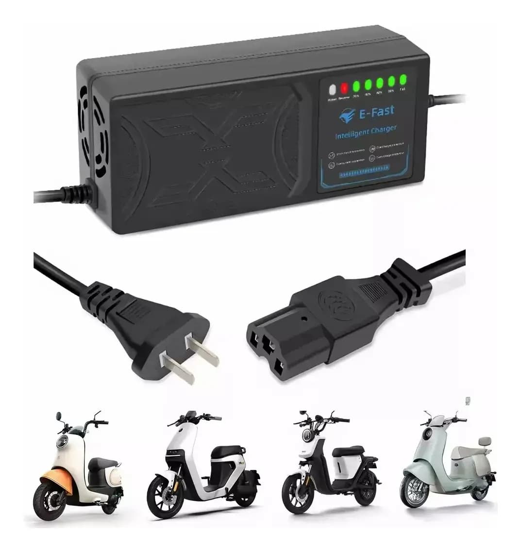 Cargador Universal Rápido Savefree 48V20A para Bicicleta Eléctrica Negro