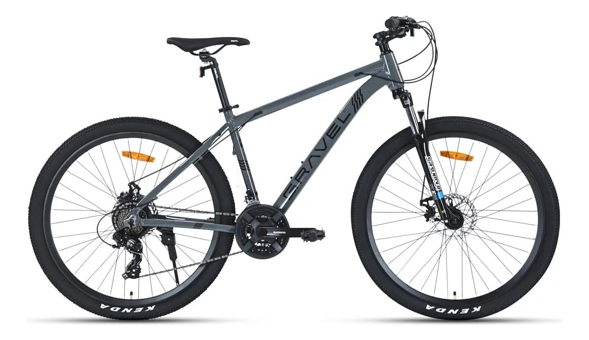 Mountain Bike Gravel Everest R29 21v Disco Shimano Color Gris Tamaño del cuadro S